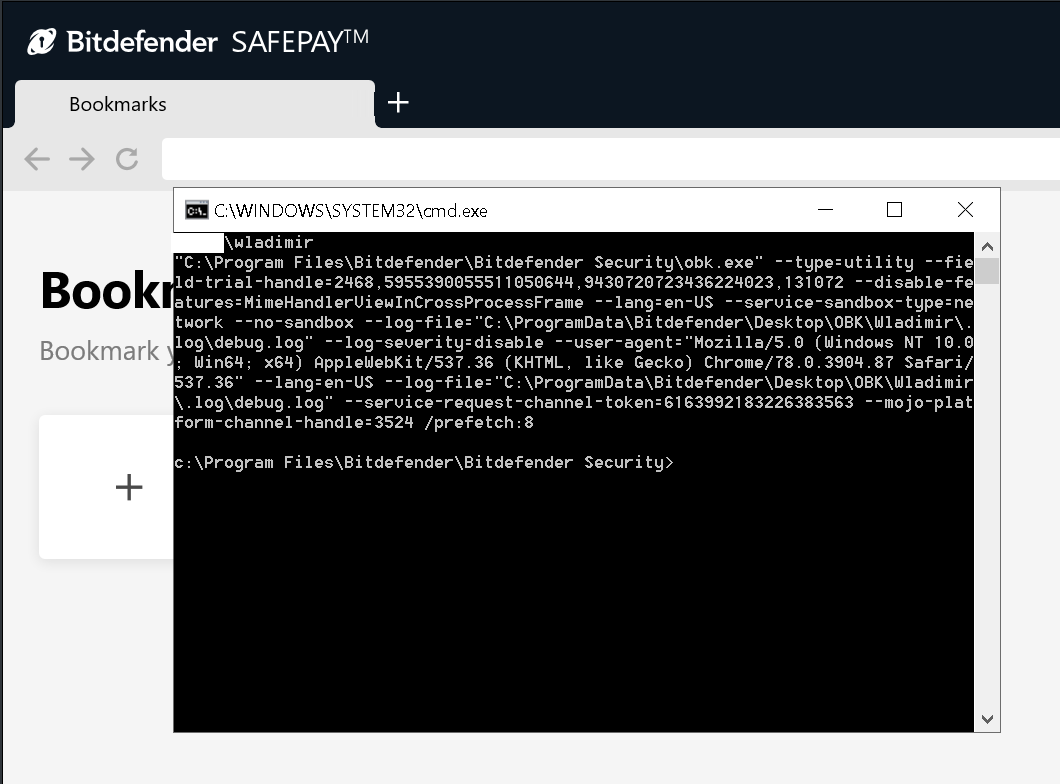 Command line prompt displayed on top of the Safepay browser window